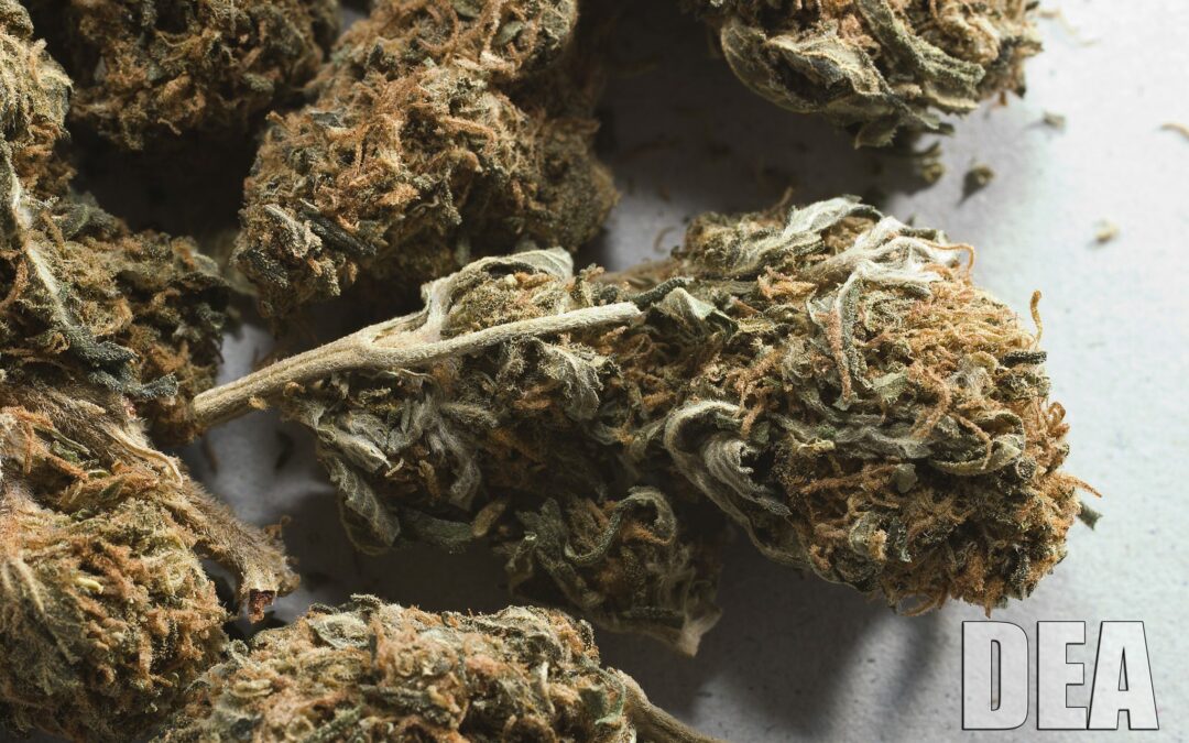 Fatal Car Crashes Happen More Often Than Usual On 4/20