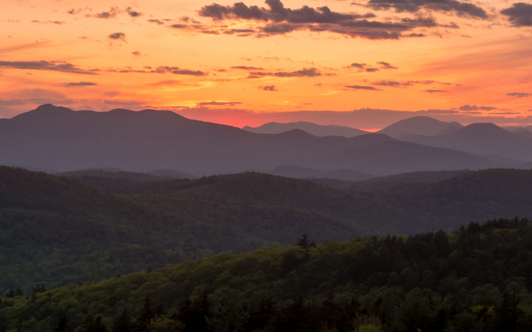 The Sunsetting of the IDN (Integrated Delivery Network)